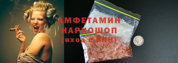 дмт Бородино