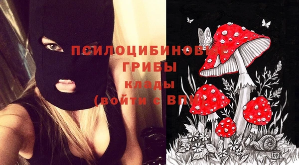 дмт Бородино