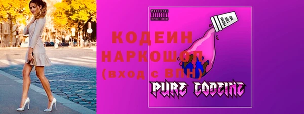 дмт Бородино