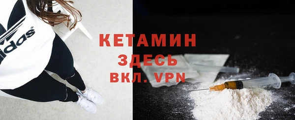 дмт Бородино