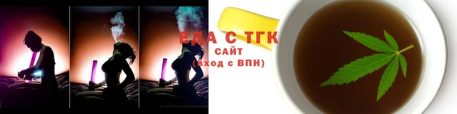 дмт Бородино