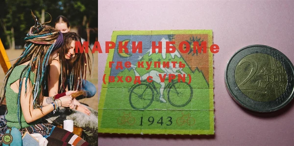 дмт Бородино
