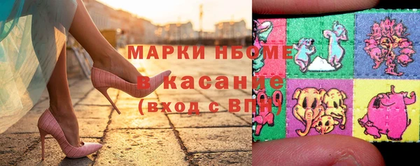 дмт Бородино