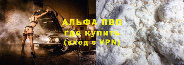 дмт Бородино
