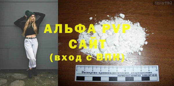 дмт Бородино
