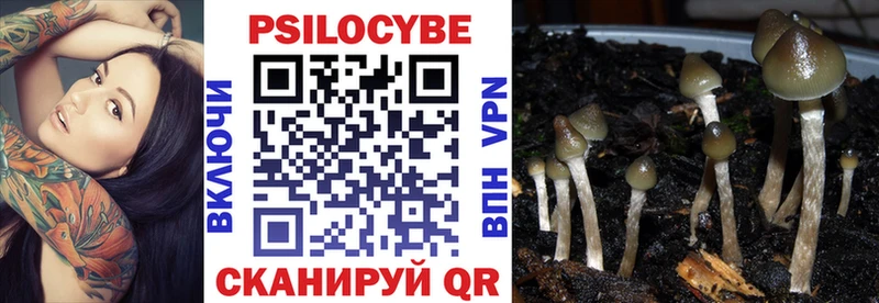 Купить  Нижнеудинск  Галлюциногенные грибы MAGIC MUSHROOMS 